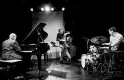 The Babb Effect with Bill Gerhardt Trio South - Blues Boulevard